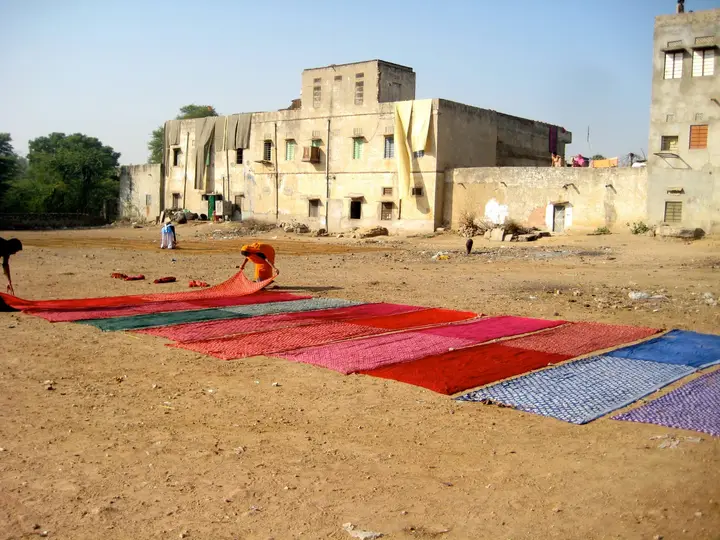 Morning on the drying ground.