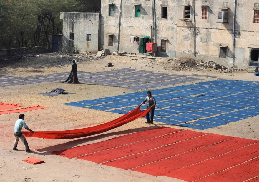 Long lengths of red and blue cloth spread on open ground to dry, a man lifting one length clear.