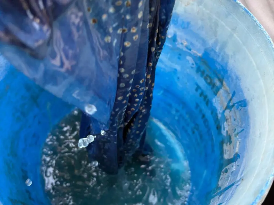 Cloth being lifted out of an indigo vat, the dye running back into the blue water, Bagru