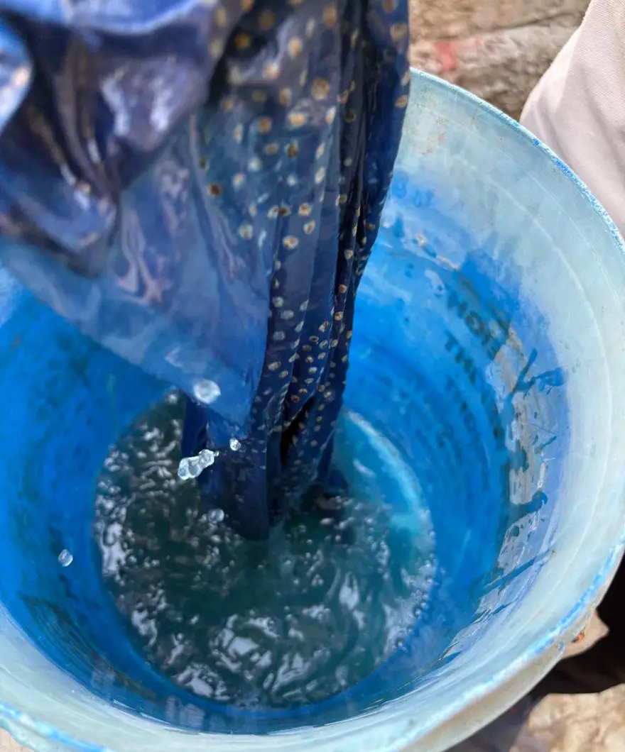 Dark blue cloth lifted dripping from a bright blue indigo vat.
