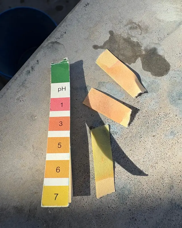 Used pH test strips and their printed colour scale on a concrete ledge beside a blue dye bucket